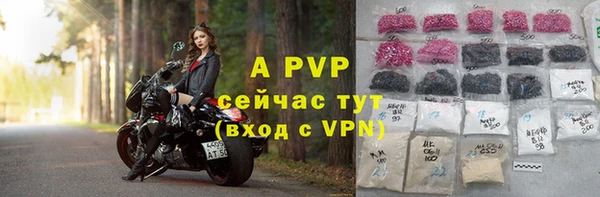 apvp Богородск