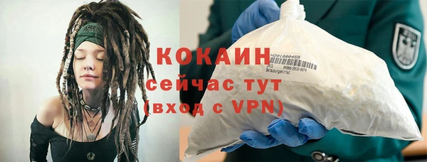 mdpv Бородино
