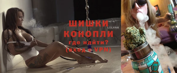 mdpv Бородино