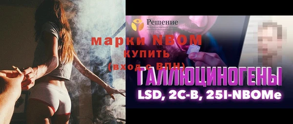 mdpv Бородино