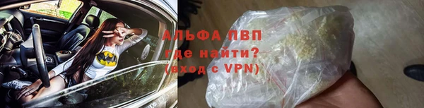 индика Бугульма