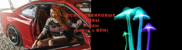 трава Верея
