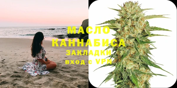 индика Бугульма