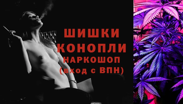 mdpv Бородино